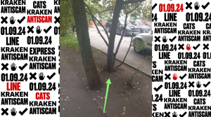 рабочее зеркало кракен